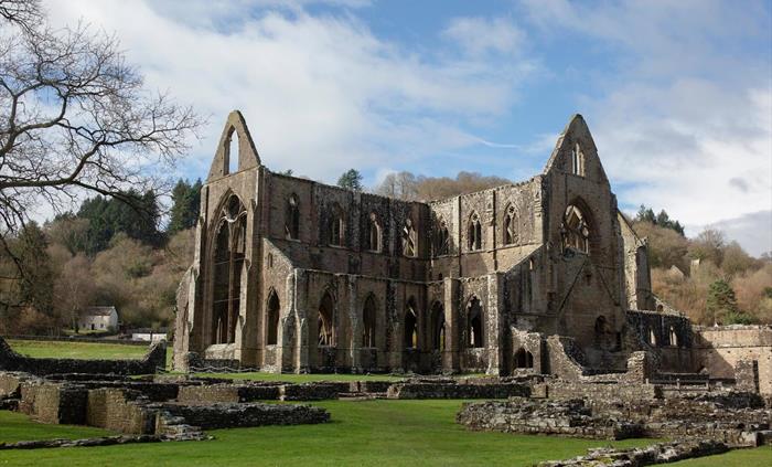 Ruined Abbey